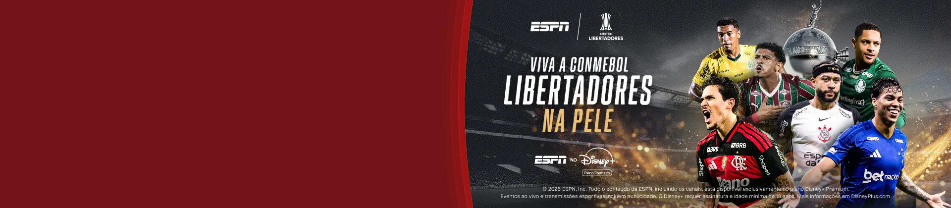 Imagens ilustrativas da Libertadores