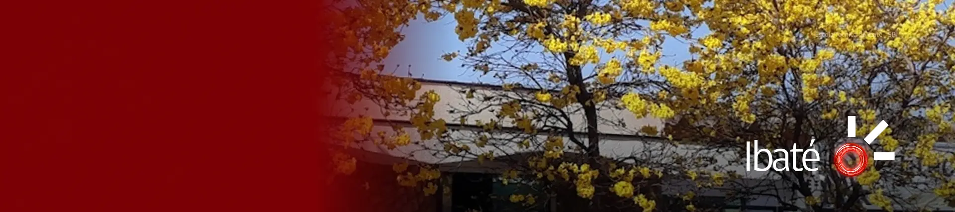 Internet banda larga em Ibaté Internet banda larga em Ibaté