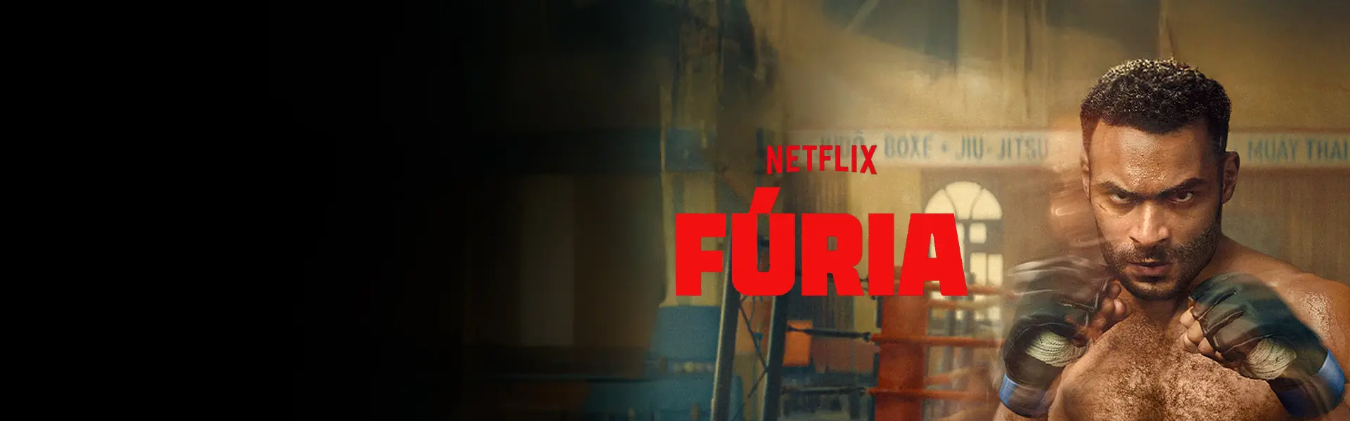 Fúria