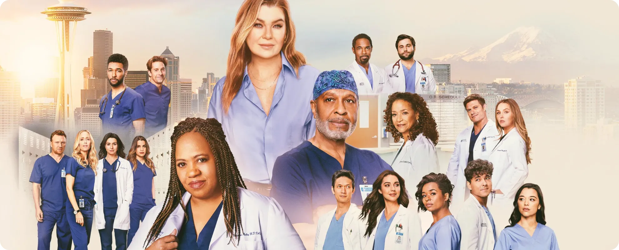 Onde Assistir Grey's Anatomy com Ellen Pompeo,Chandra Wilson, James Pickens Jr. e muito mais.