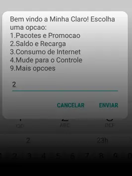 Canais de Atendimento Interativo Claro