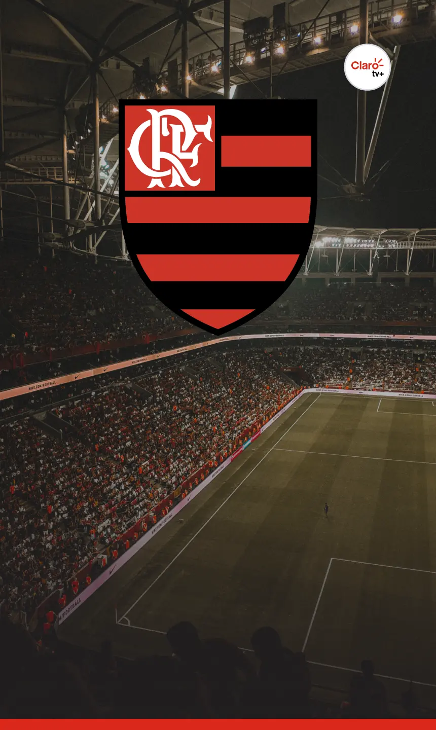 Onde assistir ao jogo do Flamengo hoje?