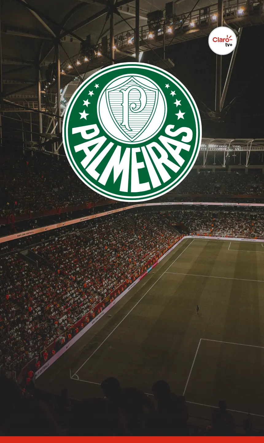 Que horas é o jogo do Palmeiras hoje no Brasileirão e onde