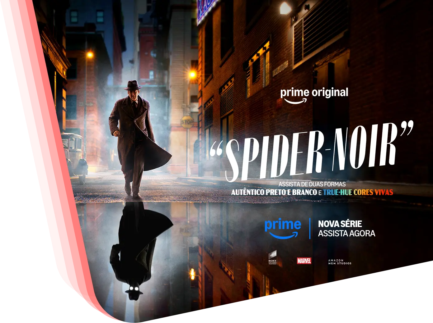 Spider Noir